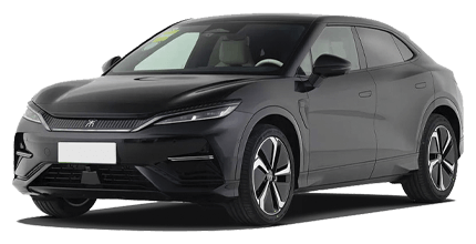 BYD SONG L - item - home page - life ev eg